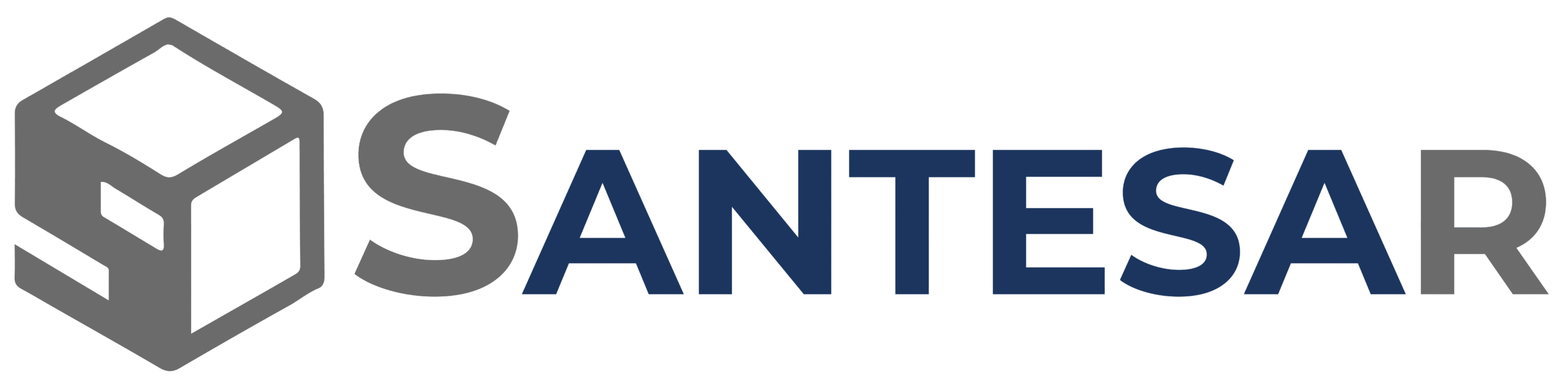 Logo Santesar2